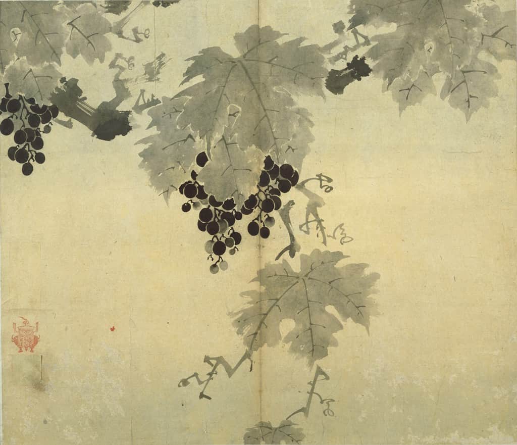 Fruiting Grape Branch