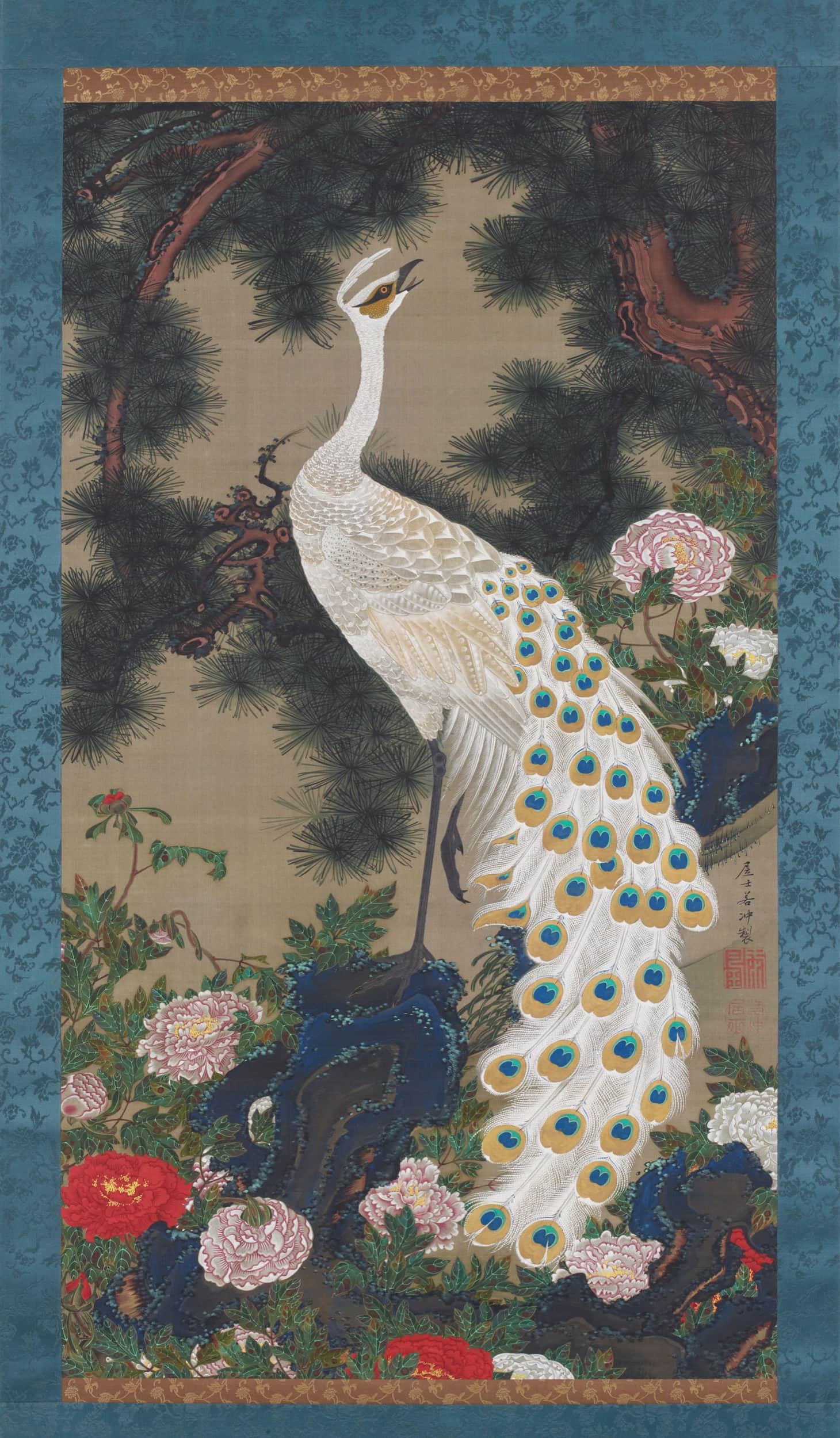 White peacock and peonies under a pine