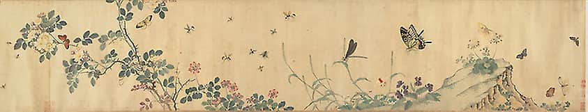 Flowers and Insects