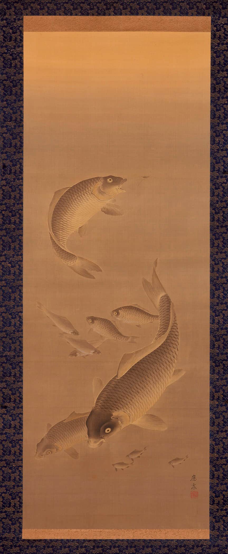 Carp