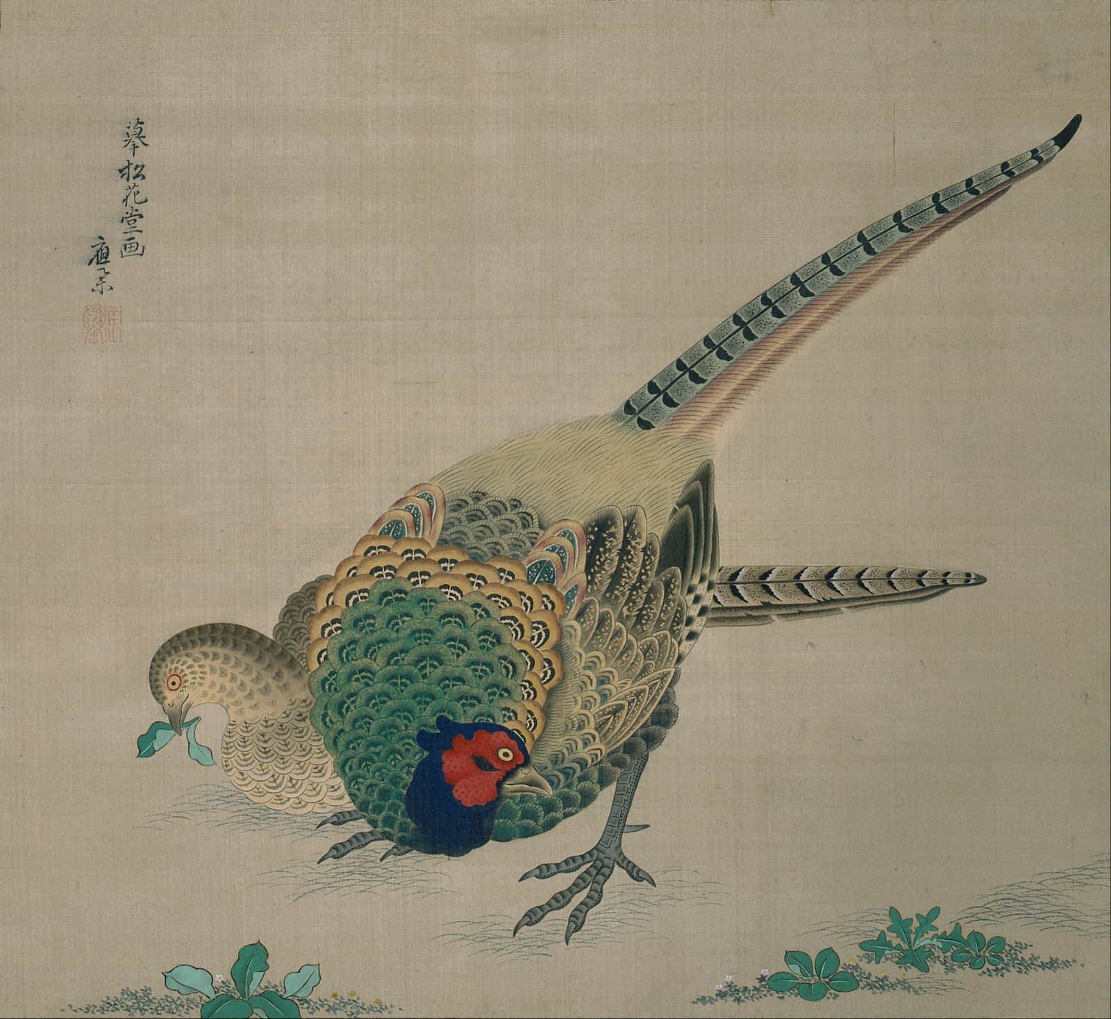 Hanging Scroll (pair of pheasants)