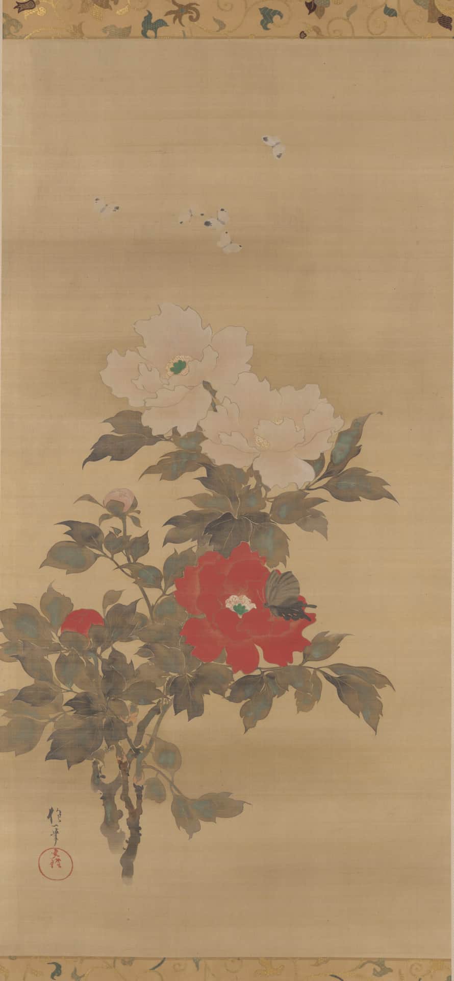 Peonies and Butterflie