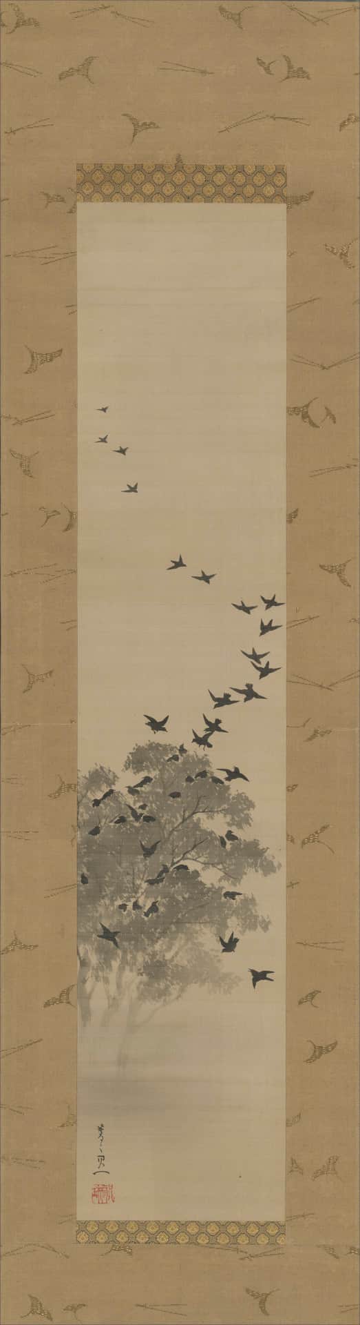 Black bird