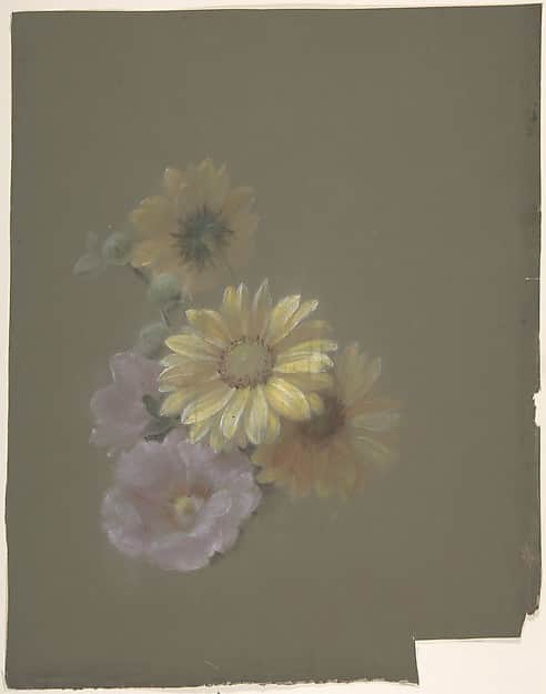 Yellow Daisies and Pink Wild Rose