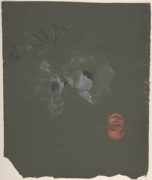 Floral Design