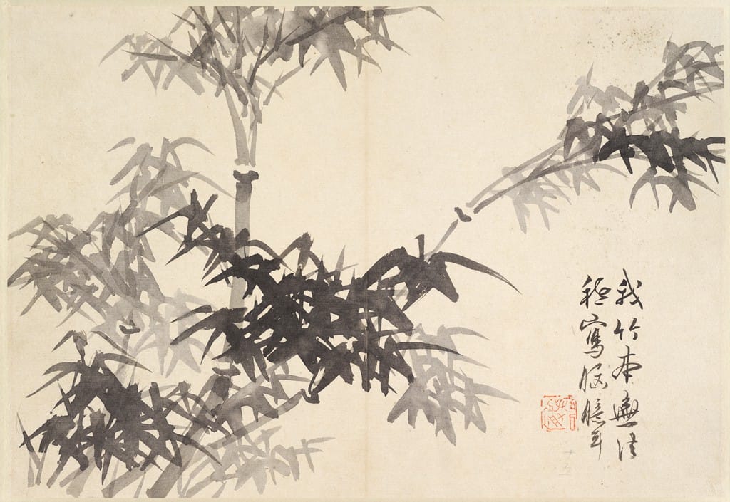 Bamboo