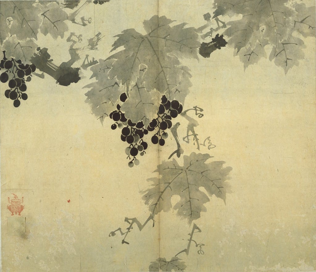 Fruiting Grape Branch