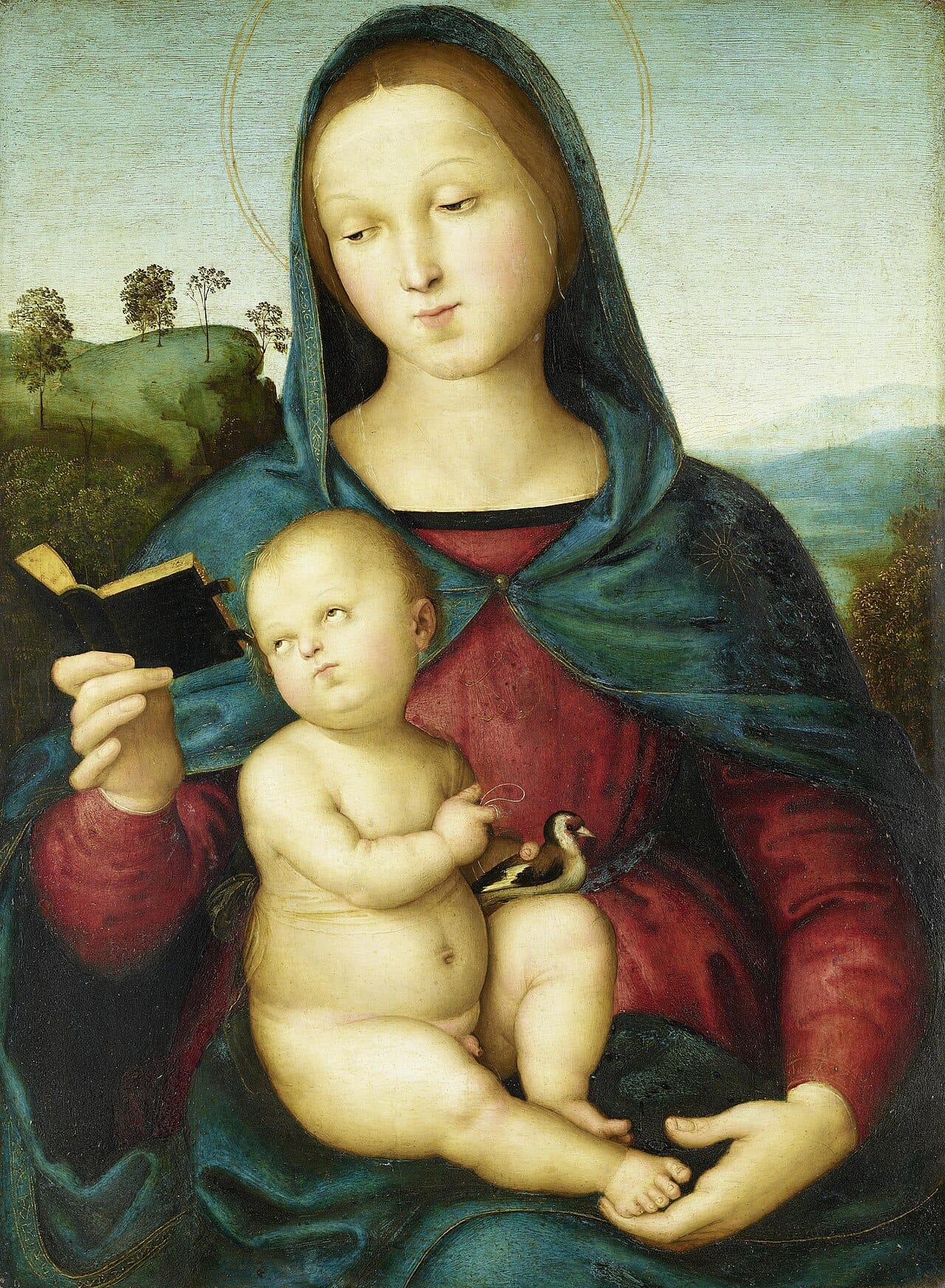 Solly Madonna