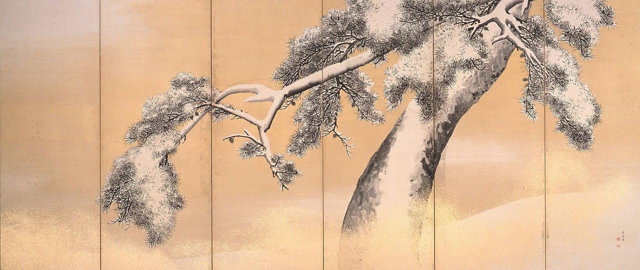 Pine Trees in the Snow