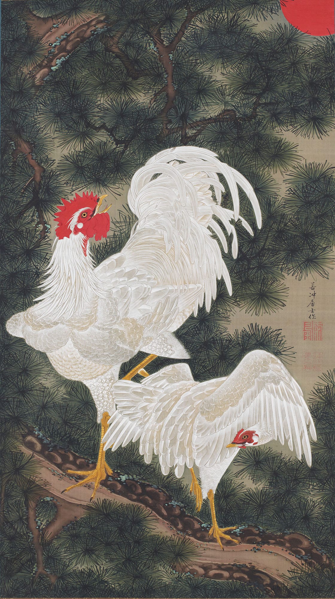 White fowl and pine