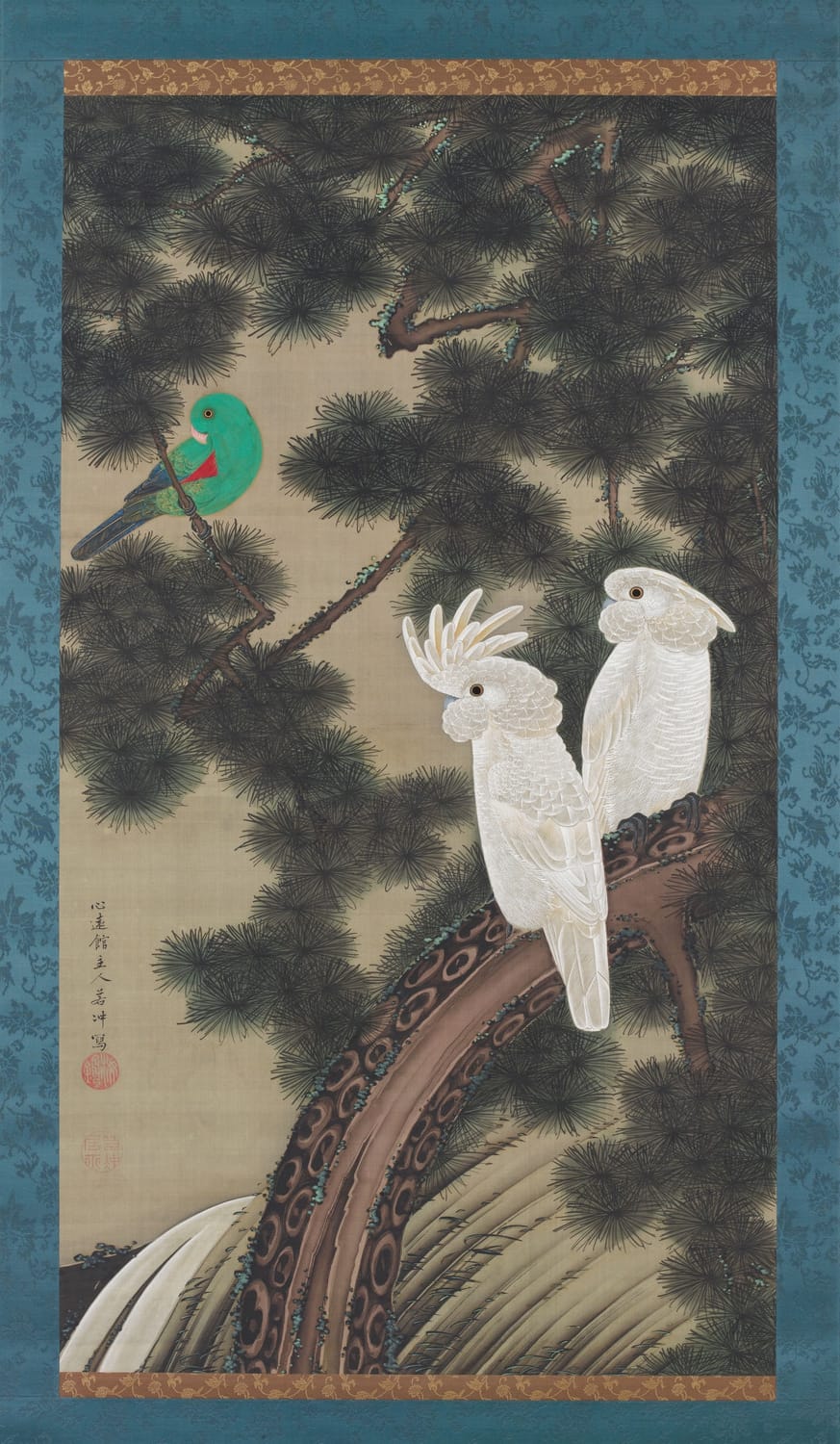 Cockatoos in an old pine