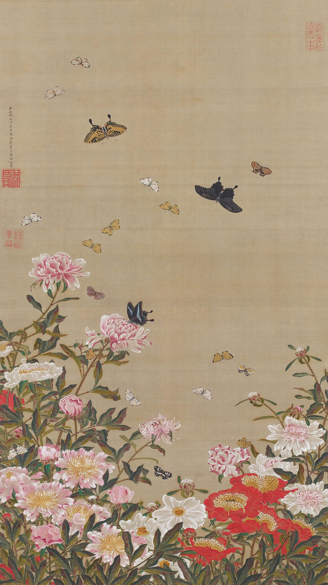 Herbaceous peonies and butterflies