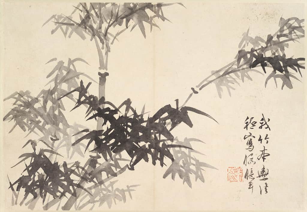 Bamboo