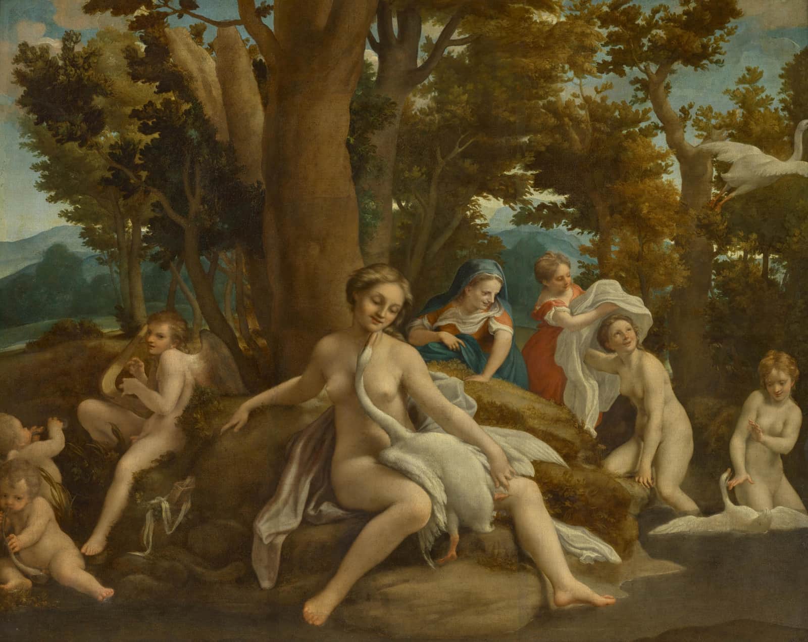 Leda and the Swan