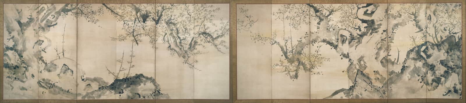 Flowering Plum Trees in Mist
