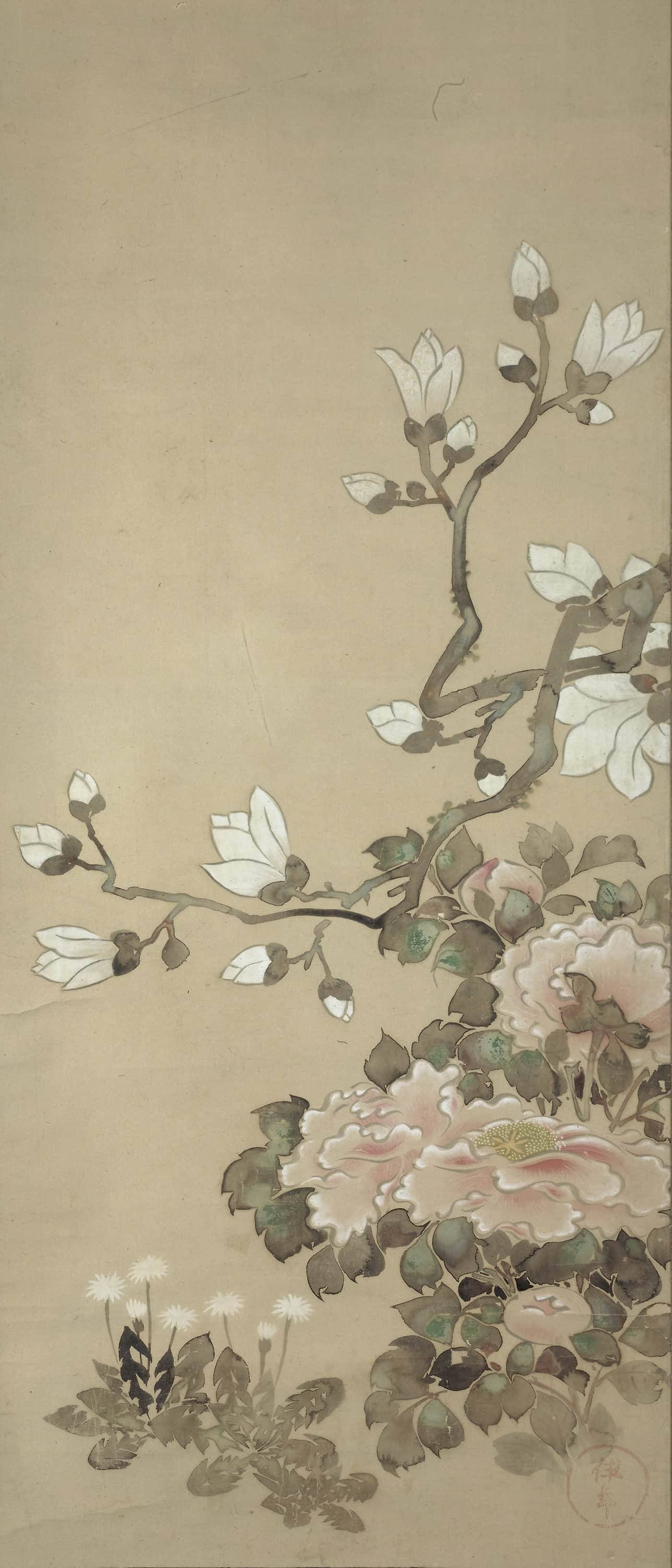 Peonies, Magnolia, and Dandelions