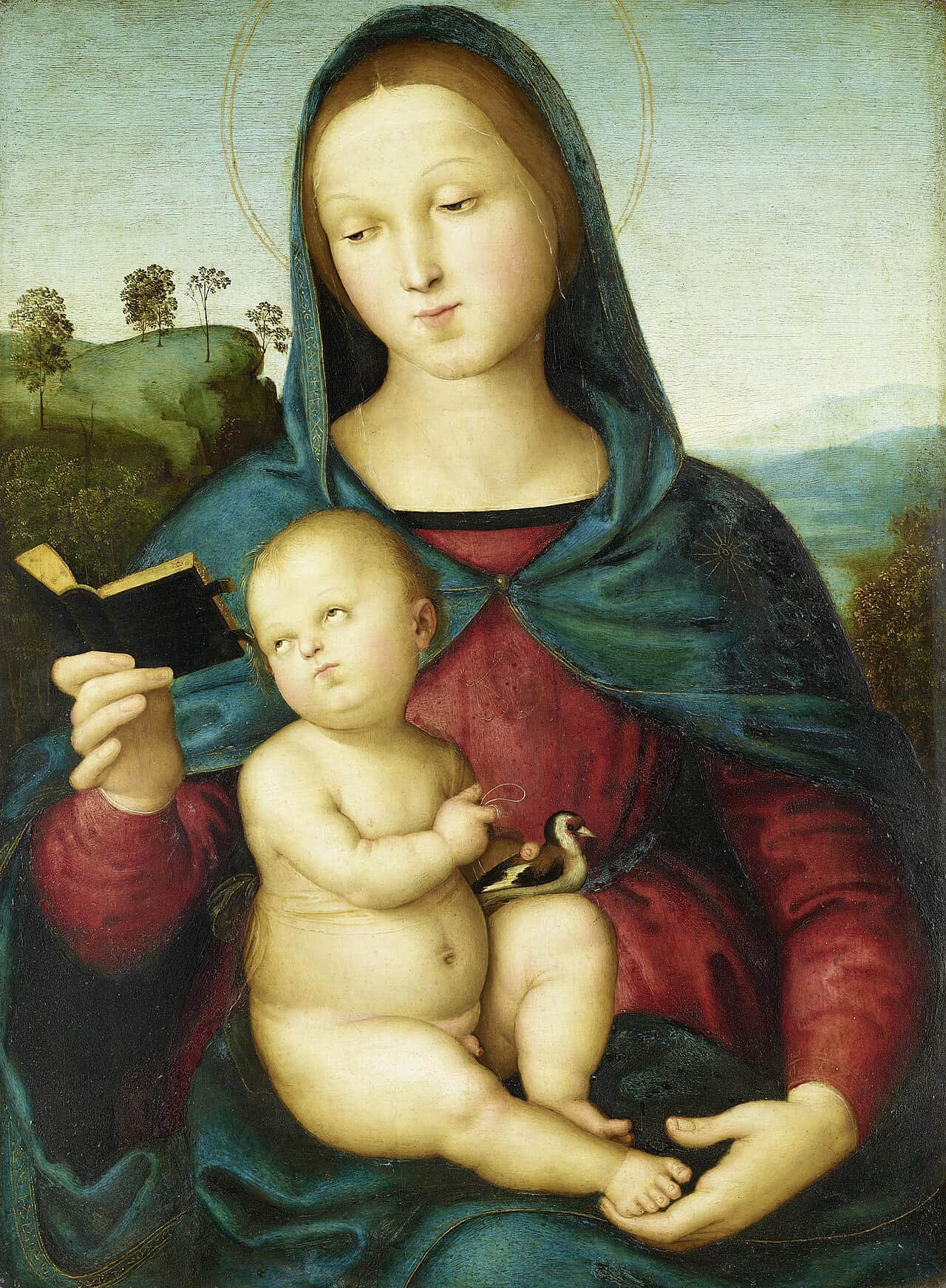 Solly Madonna