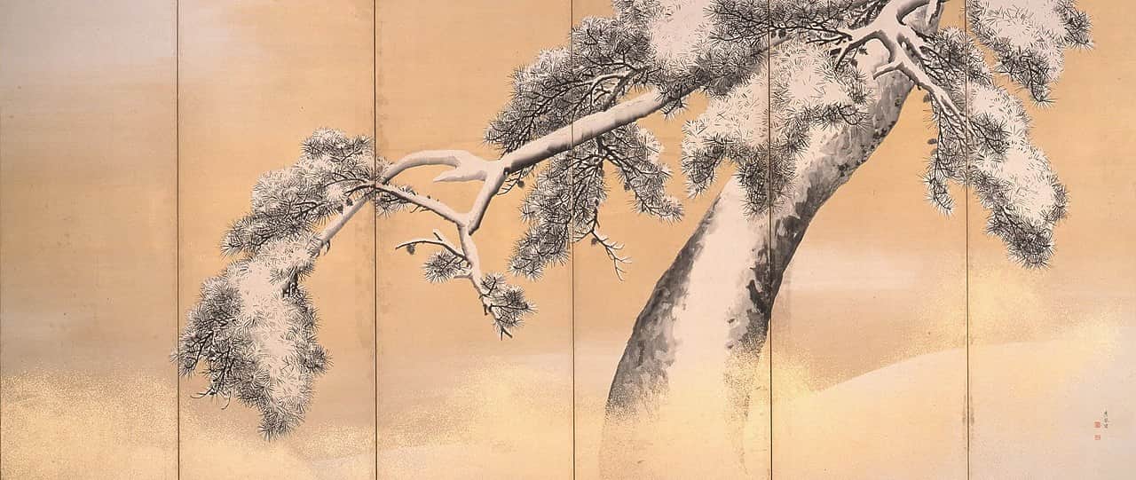 Pine Trees in the Snow