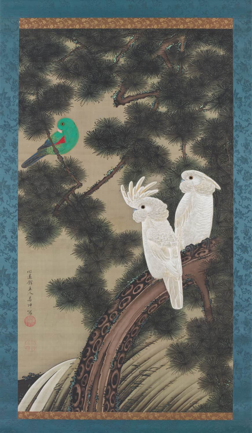Cockatoos in an old pine