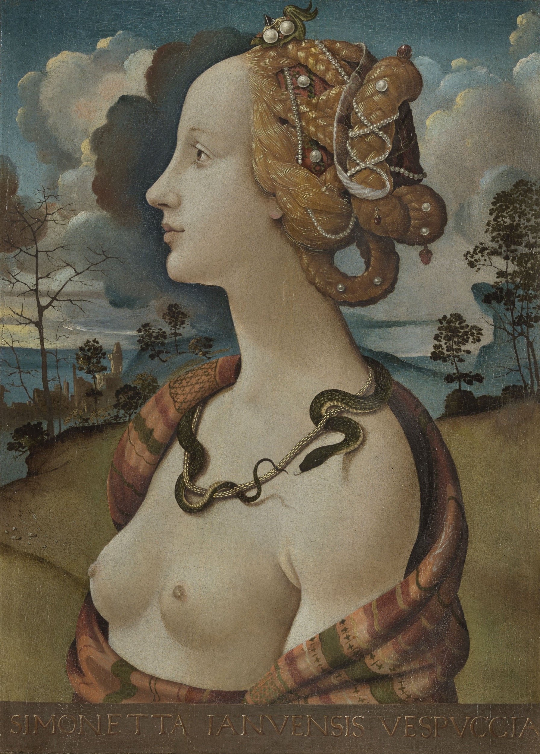 Portrait of Simonetta Vespucci