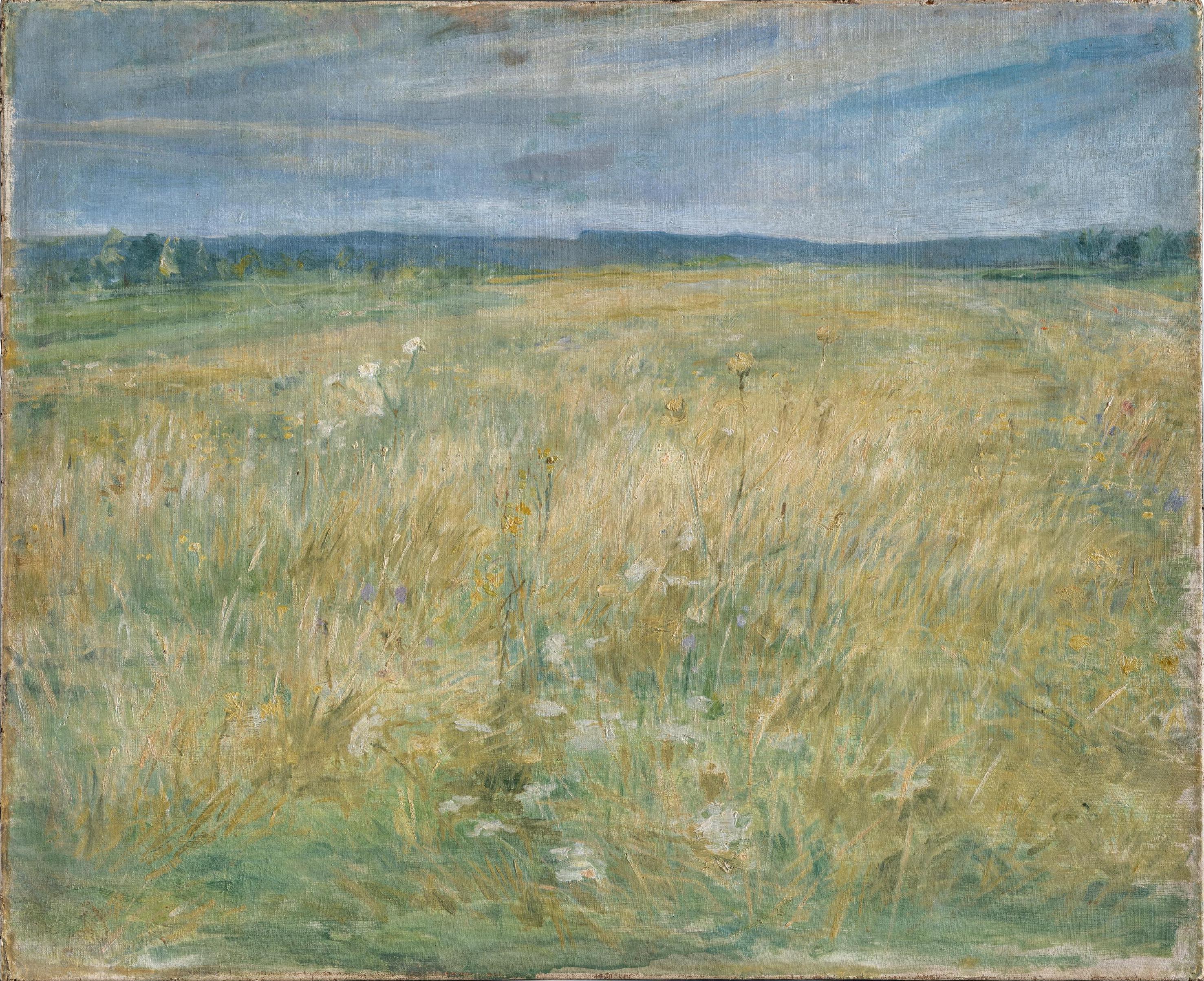 Withered Field (Grez)