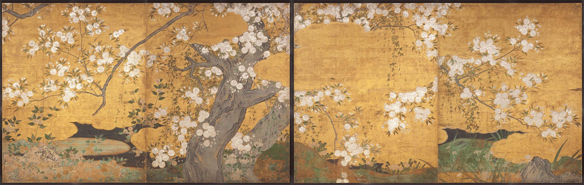 Cherry Tree