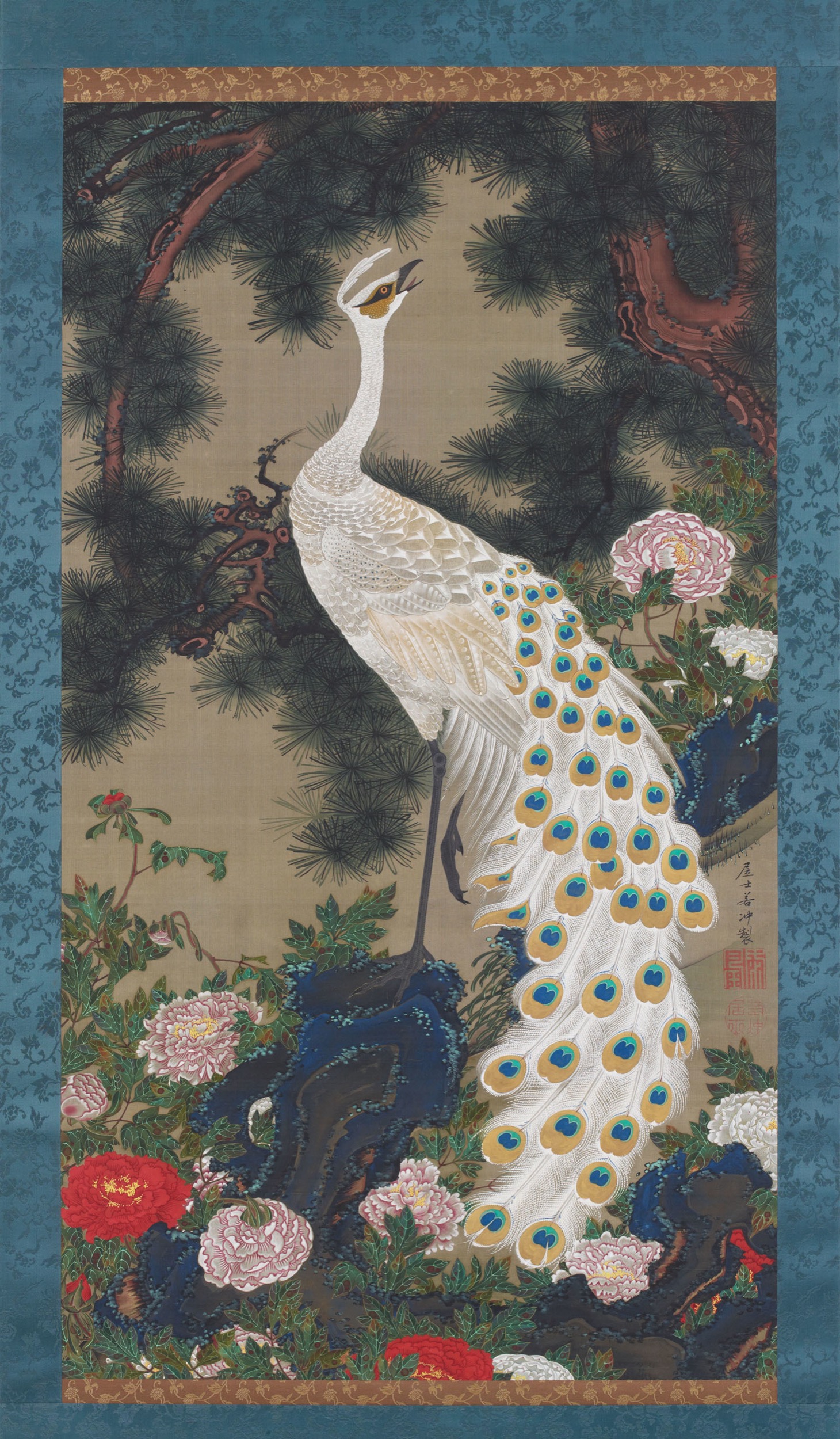 White peacock and peonies under a pine