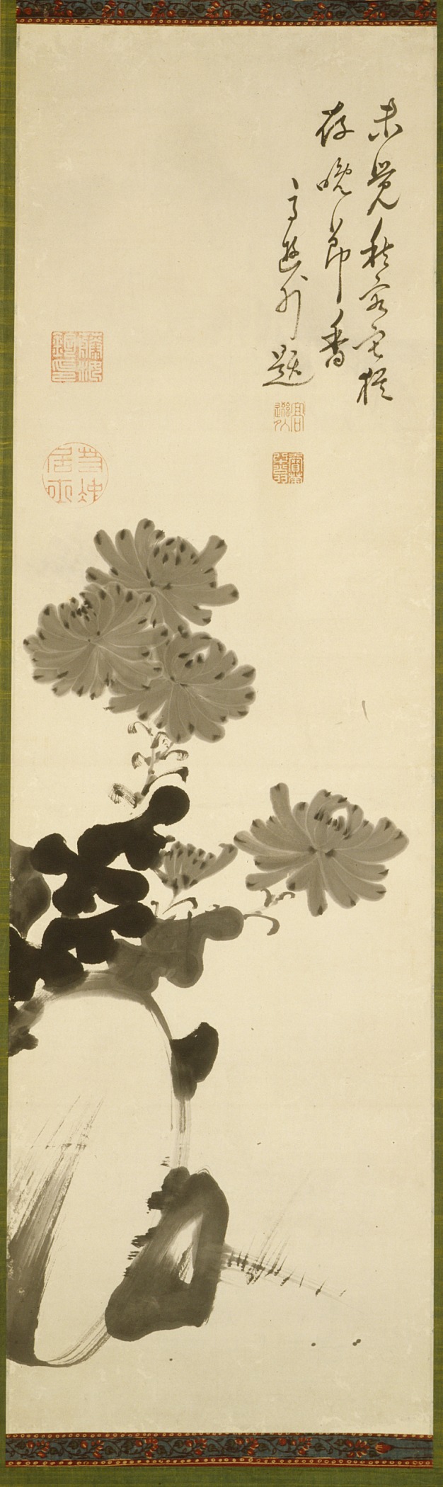 Chrysanthemums and Rock