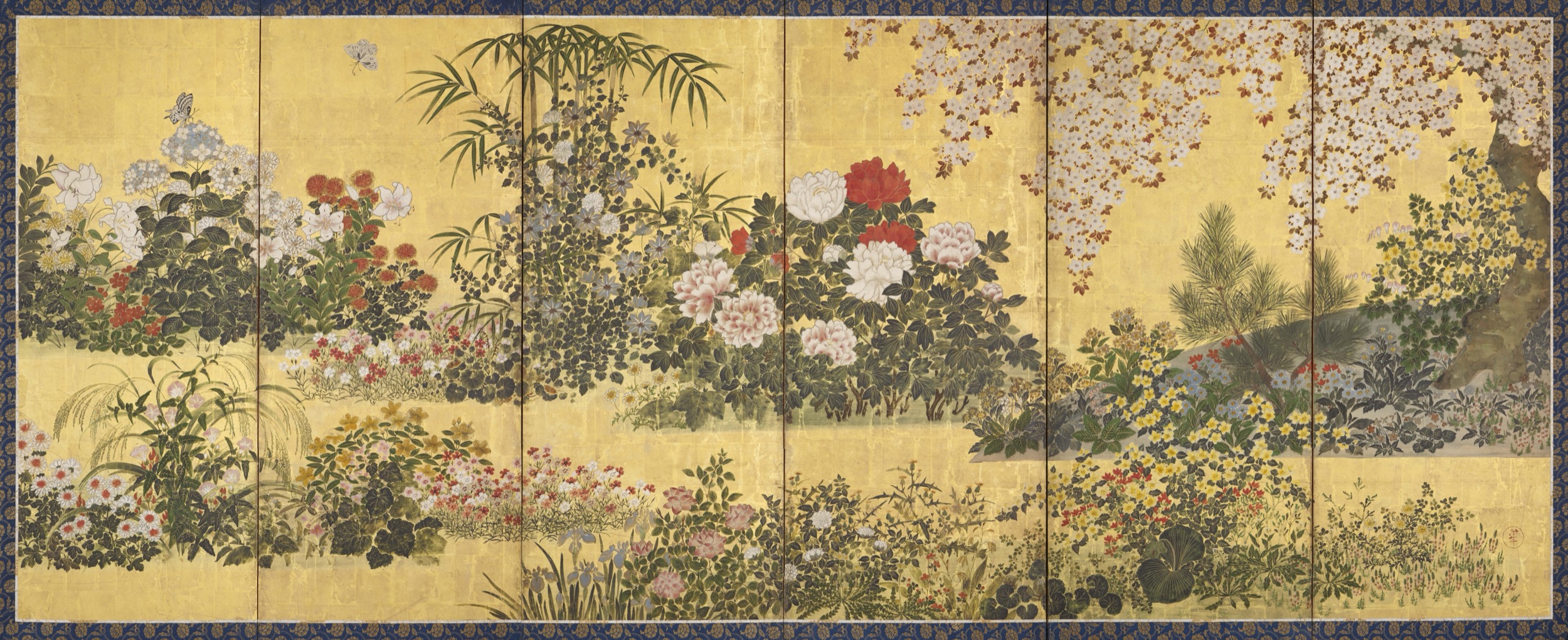 Flowers and Butterflies