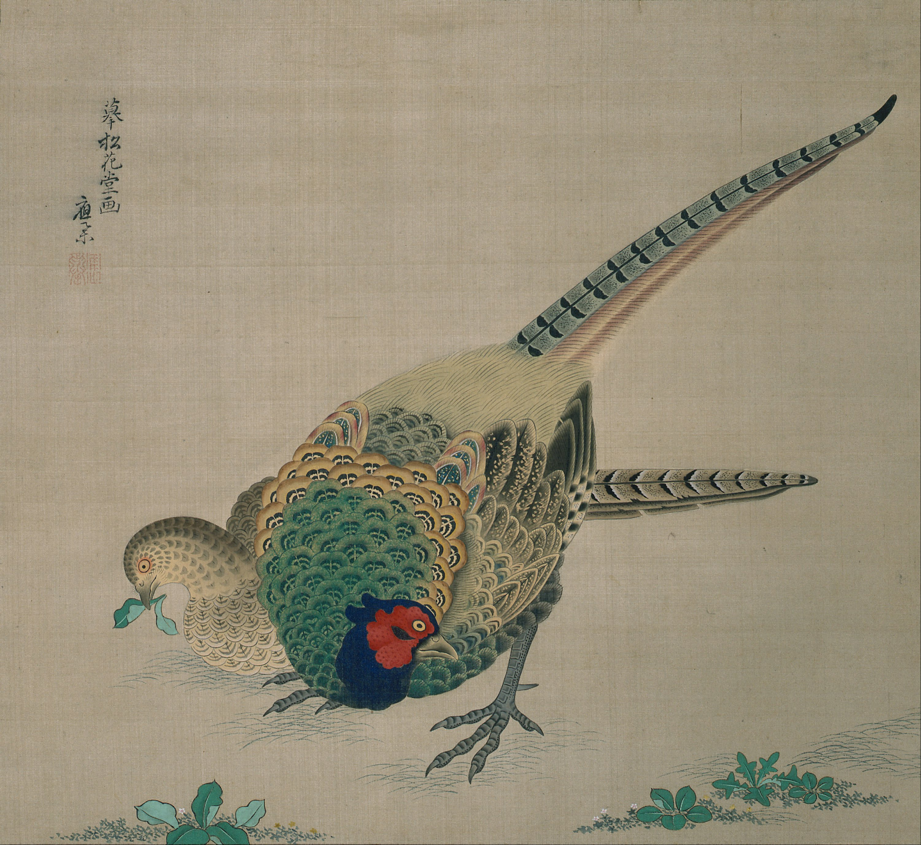 Hanging Scroll (pair of pheasants)