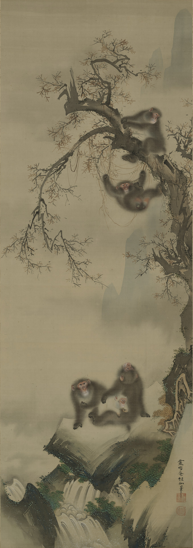 Monkey
