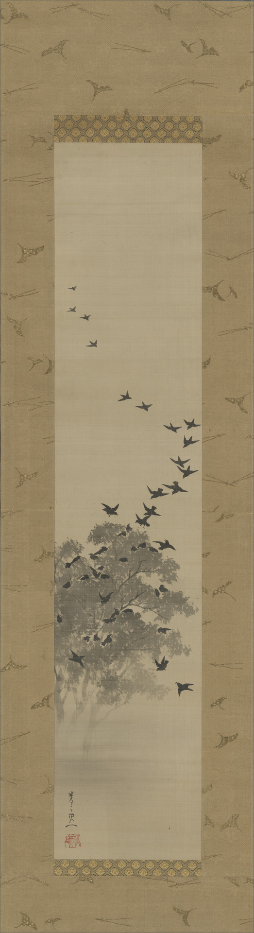 Black bird