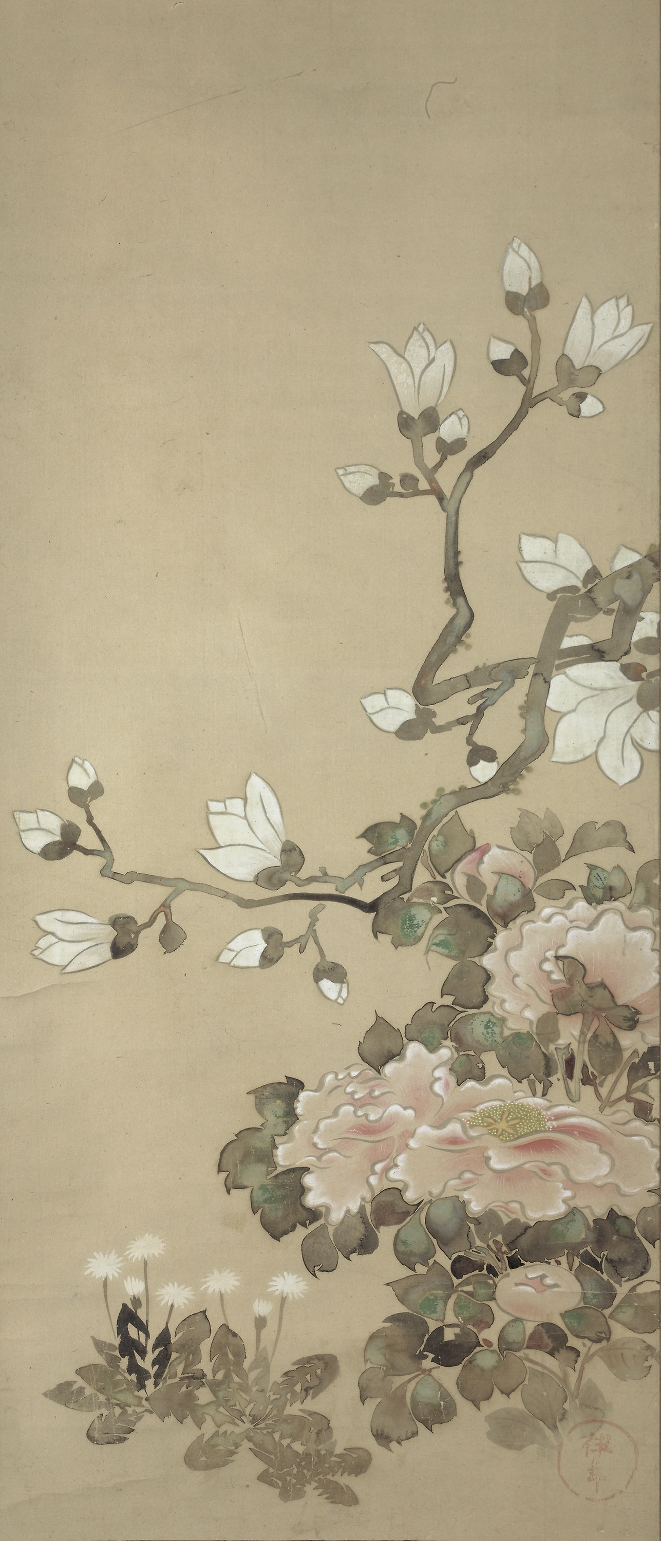 Peonies, Magnolia, and Dandelions